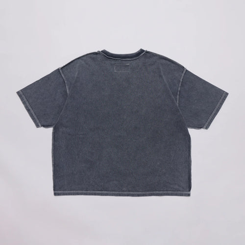 Over Print Revolutionary pigment Tee